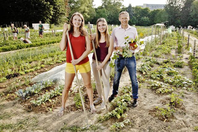 In Mariatrost, Andritz und Straßgang gibt es bereits Selbsternte-Parzellen in den Morgentau-Gärten. Ein Feld in St. Peter könnte folgen. | Foto: Morgentau Gärten
