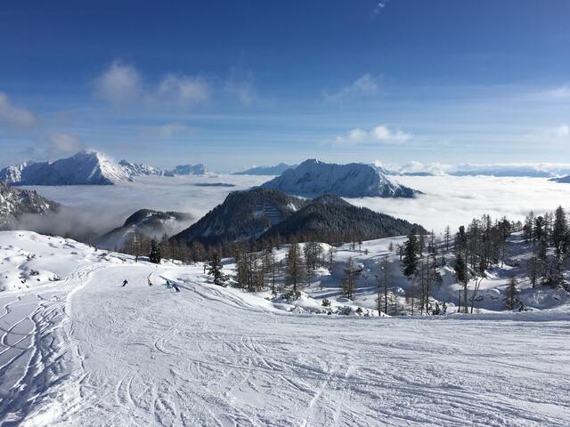 Paradiesische Schneeverhältnisse auf der Wurzeralm | Foto: HIWU