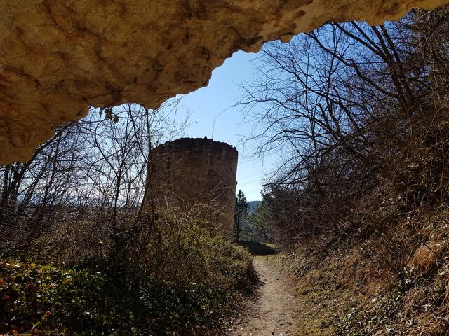 Foto: Brigitte M.G. Krenn