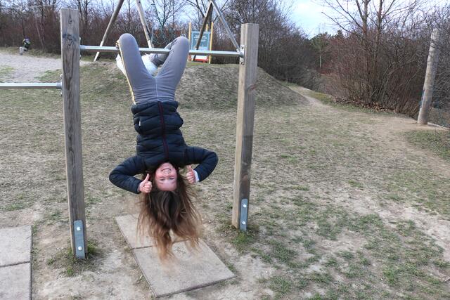 Spielplatz "Rodelhügel" hinter der Mistelbacher Volksschule | Foto: Rieseder