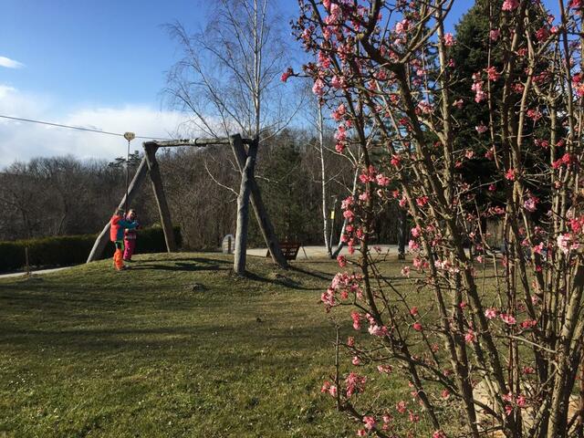 Erlebnis-Spielplatz in Loosdorf | Foto: Gabriel
