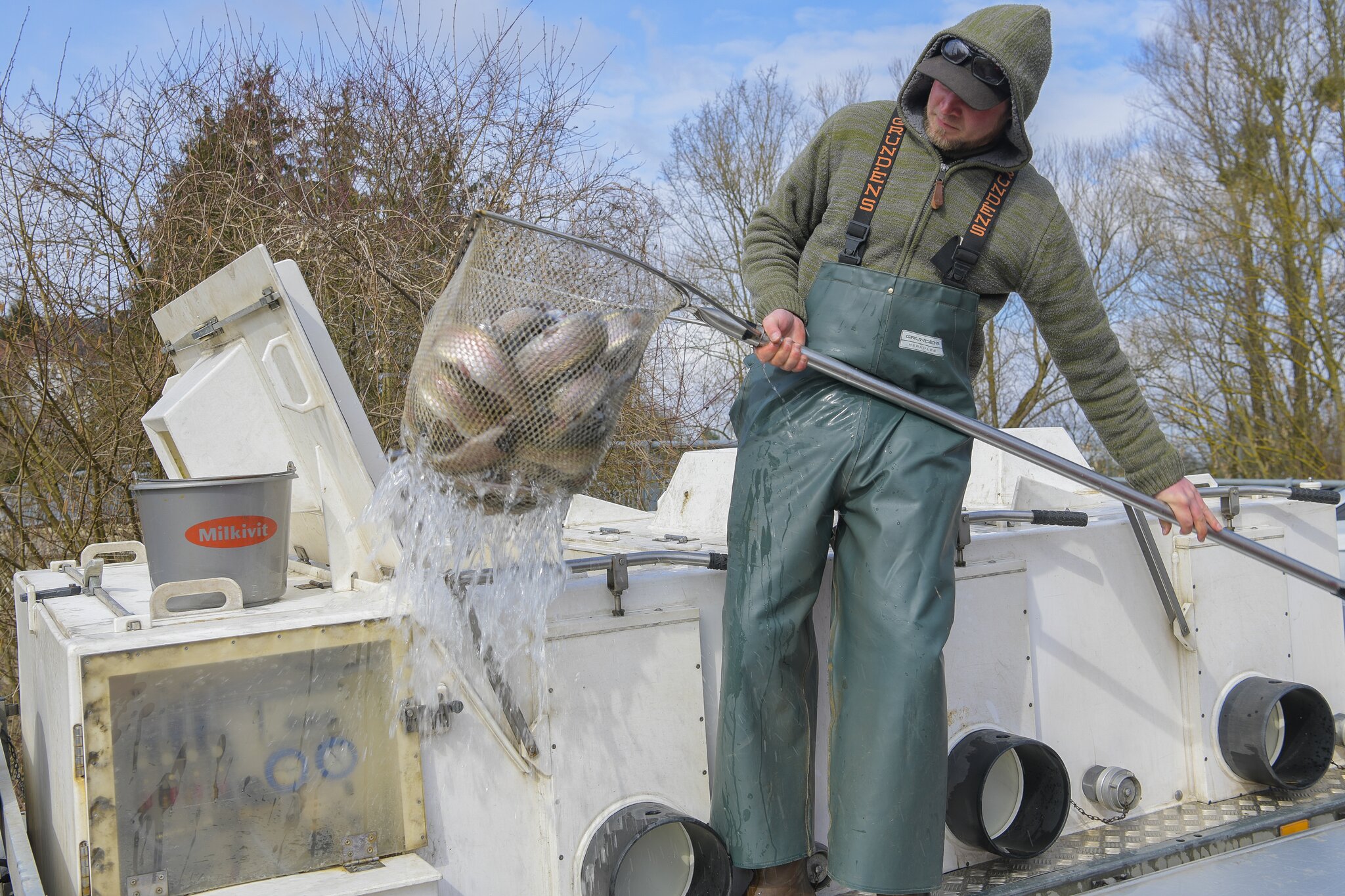 Fischerei Fischereiverein Diersbach setzt in Vereinsgewässer Forellen