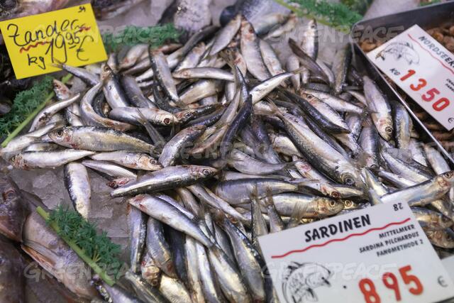 Beliebt zu Ostern: der Fischmarkt | Foto: Greenpeace
