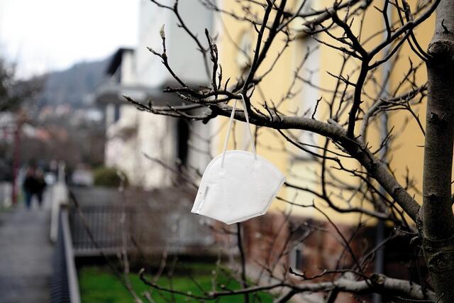In Wien, Niederösterreich und dem Burgenland sollen ab 1. April verschärfte Coronavirus-Maßnahmen gelten.  Laut dem Epidemiologen sei die dramatische Infektionslage auch keinesfalls nur auf die Ostregion beschränkt. Sie werde sich auf den Westen ausdehnen. | Foto: pixabay.com