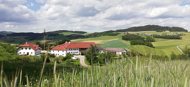 Foto: Foto: Schafflhof