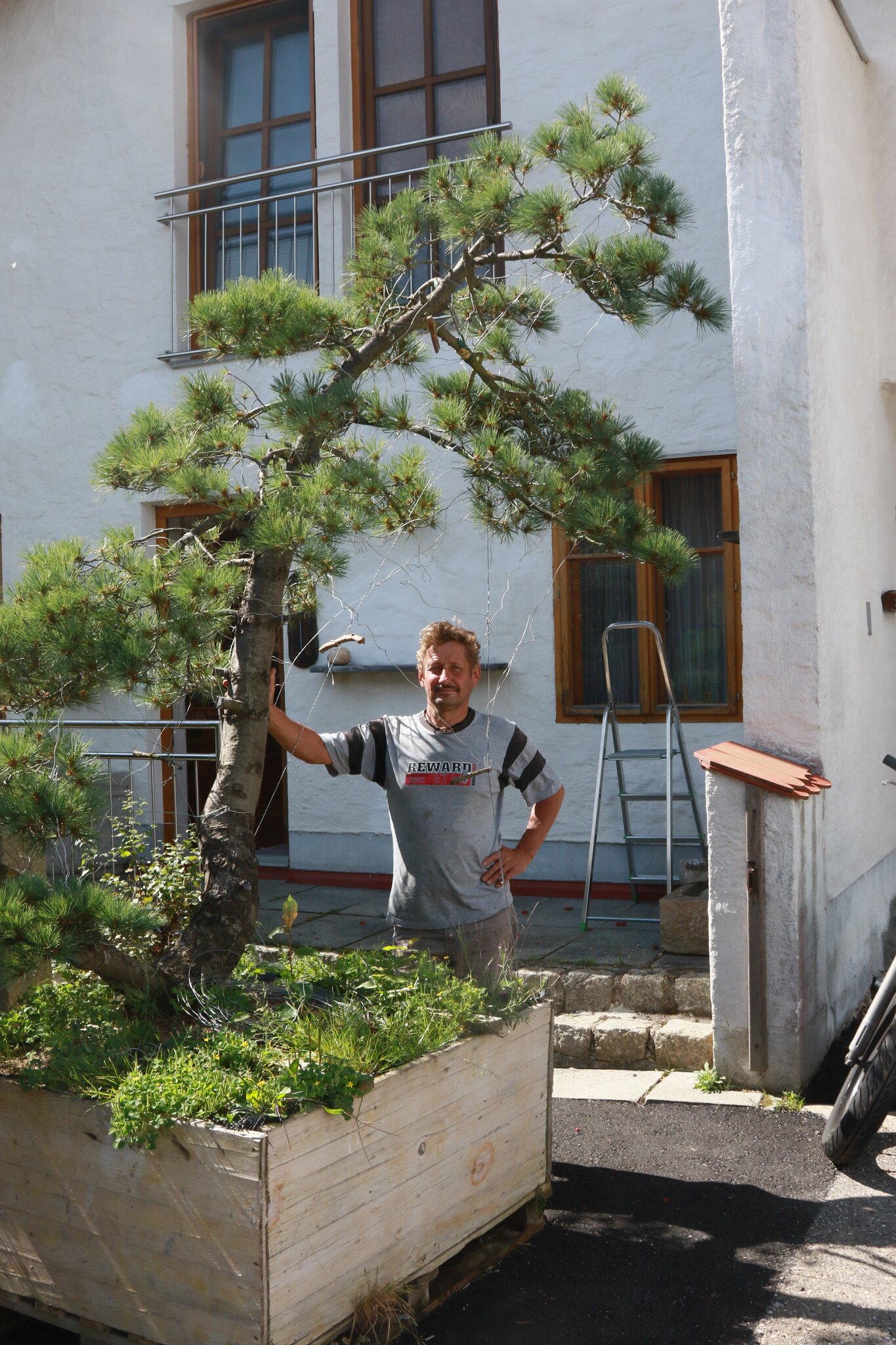 Bonsai-Schule Fuchs: In dieser Schule gibt es kein Distance Learning -  Rohrbach