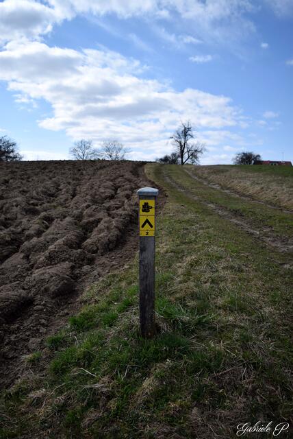 Immer schön den Wanderschuhen hinterher :) | Foto: Gabriele P.