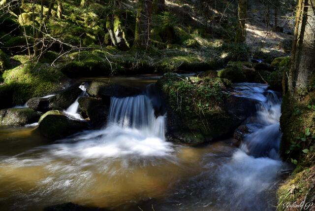 Der Tiefenbach  | Foto: Gabriele P. 