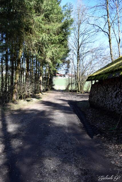 Letzte Stück der Wanderung  | Foto: Gabriele P. 