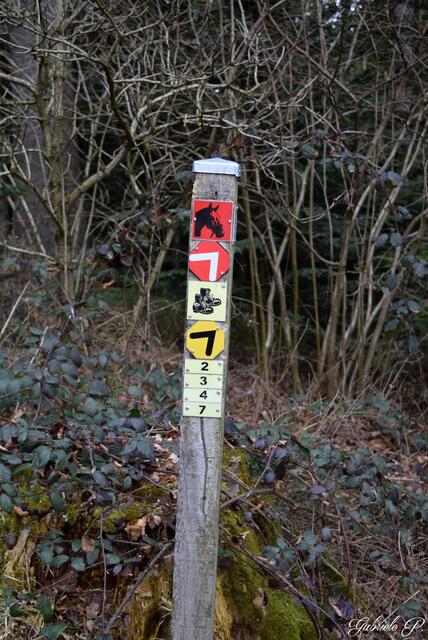 Wegweiser  | Foto: Gabriele P.