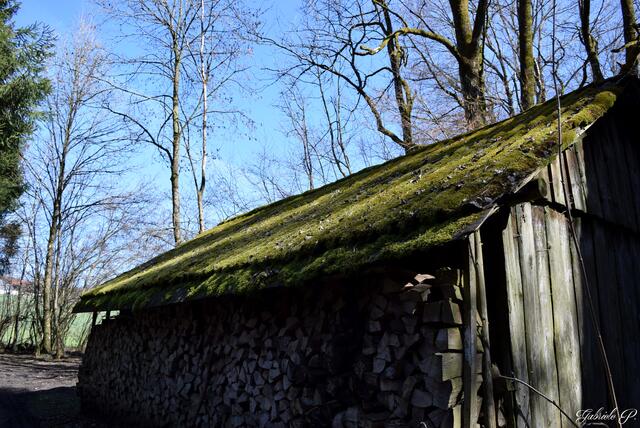 Moos Dach hat auch nicht jeder :)  | Foto: Gabriele P. 