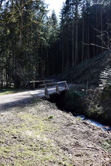 Über 7 Brücken musst du gehen ... 
.. auf diesem Weg ist es nur eine | Foto: Gabriele P. 