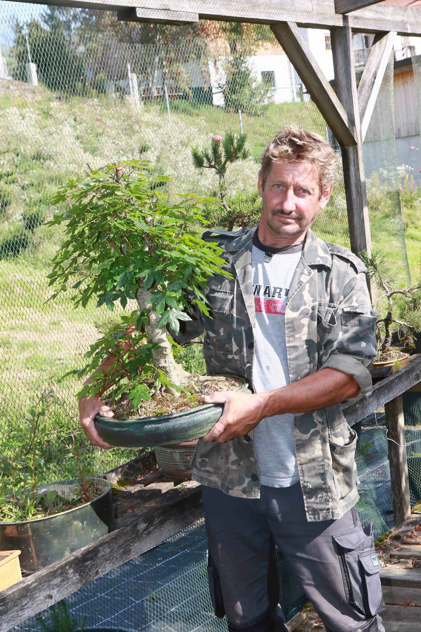 Bonsai-Schule Fuchs: In dieser Schule gibt es kein Distance Learning -  Rohrbach