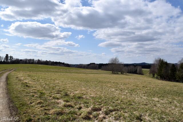 Tolle Ausblicke  | Foto: Gabriele P. 