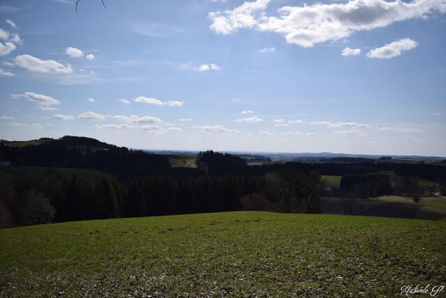 Blick in die Alpen leider heute keine Fernsicht | Foto: Gabriele P.
