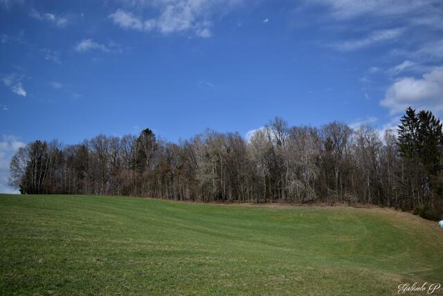 Natur Pur  | Foto: Gabriele P. 