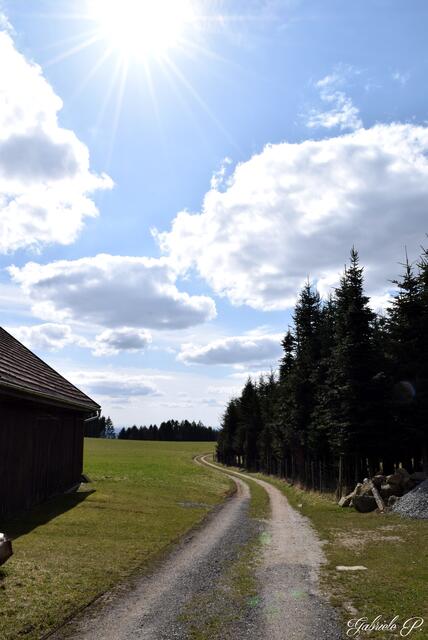 Wunderschöne Wald und Wiesenwege  | Foto: Gabriele P.