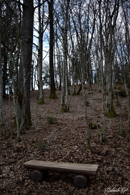 Es darf auch mal geruht werden  | Foto: Gabriele P. 