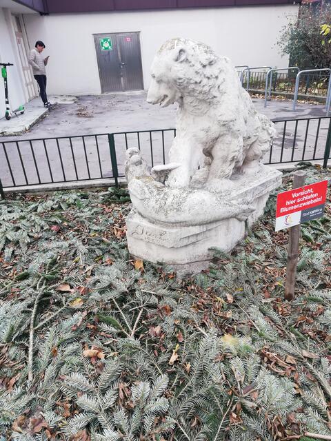 Ein Eisbär findet sich in der Jörgerstraße 46-48 in Hernals. | Foto: Rosemarie