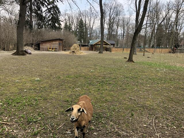Tierisches Unterhaltung beim Spielplatz im Hammerpark.