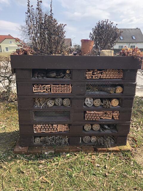 Insektenhotels schmücken den Spielpatz in Neidling.