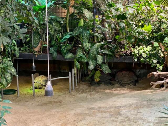 Schurli versteckte sich Anfang März ein wenig vor seinen Besuchern. | Foto: Seniorenresidenz