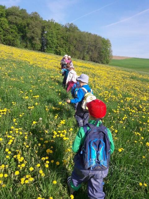 Foto: OÖ Familienbund