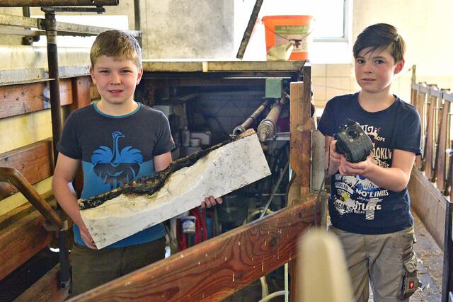 Vor der Melkmaschine ist der Brand ausgebrochen. | Foto: Wolfgang Spitzbart