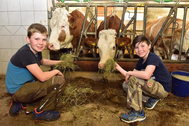 Foto: Wolfgang Spitzbart