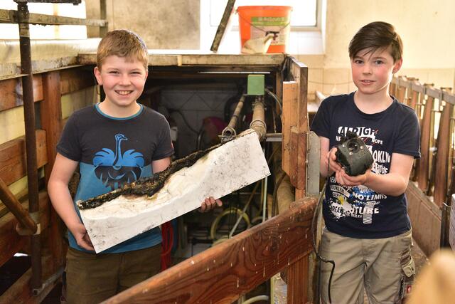 Foto: Wolfgang Spitzbart