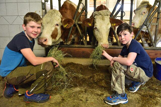 Foto: Wolfgang Spitzbart