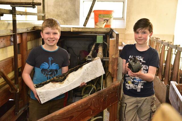 Foto: Wolfgang Spitzbart