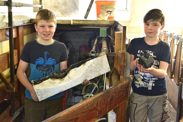 Foto: Wolfgang Spitzbart