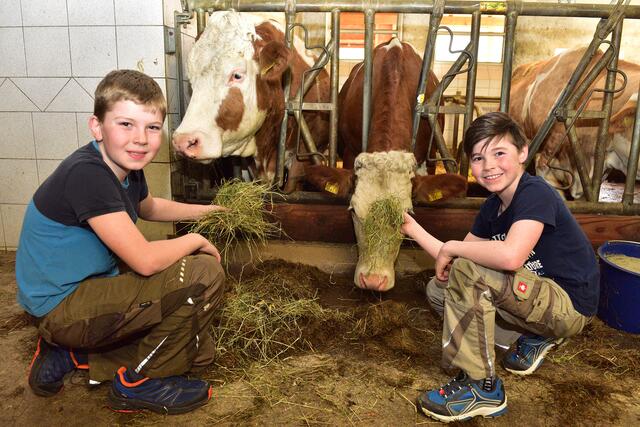 Foto: Wolfgang Spitzbart