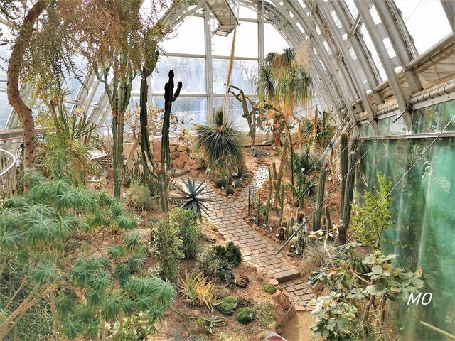 Gewächshaus, Botanischer Garten
