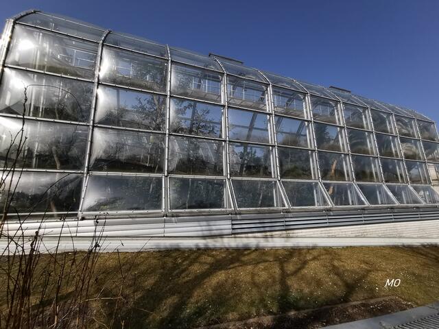 Botanischer Garten, Graz