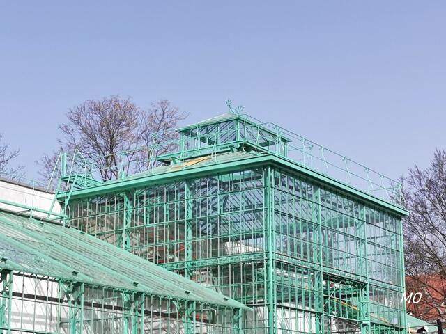 Botanischer Garten, Graz