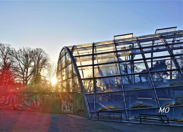 Sonnenuntergang, Botanischer Garten, Graz