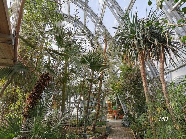 Botanischer Garten, Graz