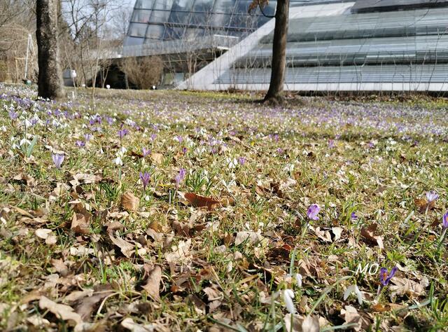 Botanischer Garten Graz