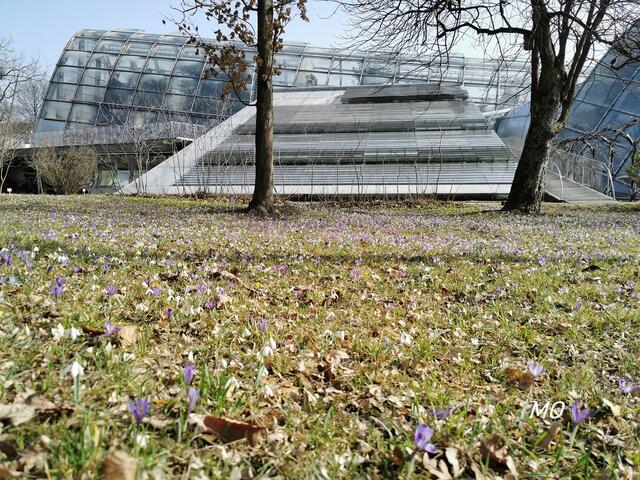 Gewächshaus Botanischer Garten, Graz