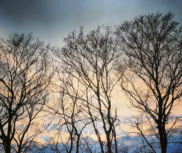 Schönes Farbenspiel beim Spaziergang in Mödling. 