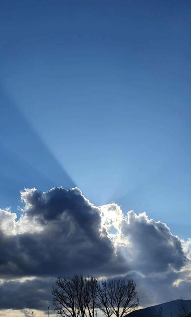 Beim spazieren gehen die "Gumpoldskirchner" Sonne mit ihren Strahlen sehr gut erwischt - Blick Richtung Anninger.