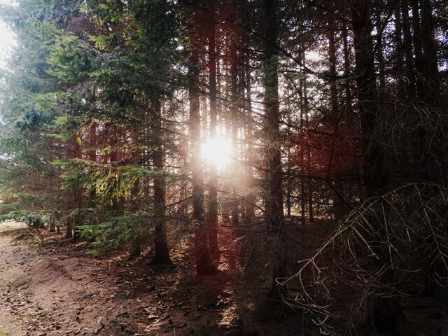 Wenn sun untergeht | Foto: sibylle kreuter