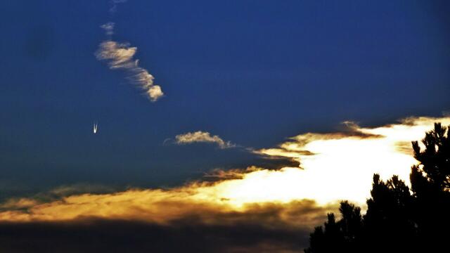 ... in der Bilderserie im Beitrag! ... LG Silvia | Foto: S.Plischek