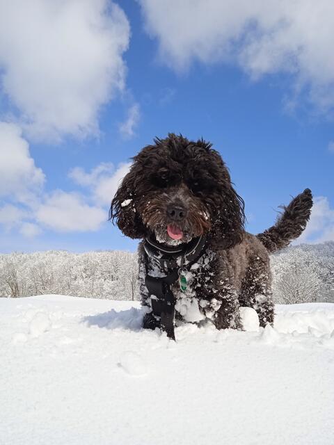 Flori hatte viel Spaß im Schnee!
