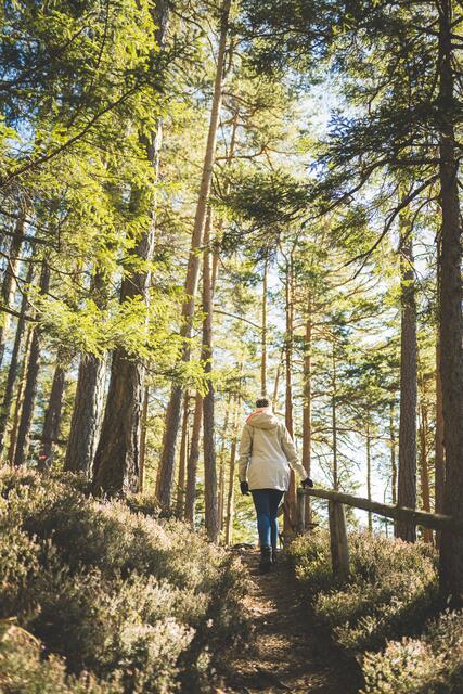 Der Wanderweg vom Orthof, Richtung Luckerte Wand ist ein Geheimtipp. Bei Schönwetter kann man außerdem die wunderbare Aussicht auf die Adlitzgräben genießen.