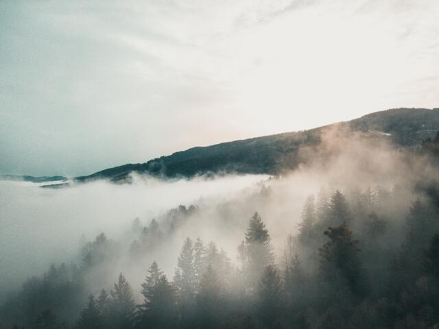Die Winter-Frühling Transformation ist in vollem Gange. Besonders schön zu beobachten sind die Morgenstunden, wenn sich der Nebel langsam lichtet.