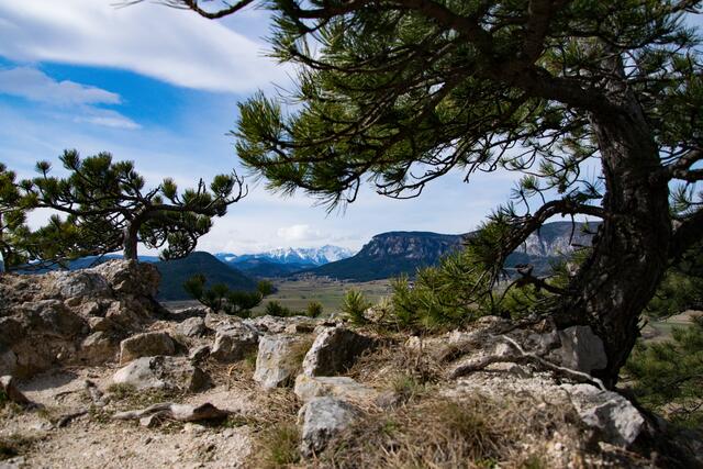 Foto: Lysann Hoffellner 