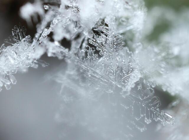 Kristallzauber | Foto: Brigitte Schweda